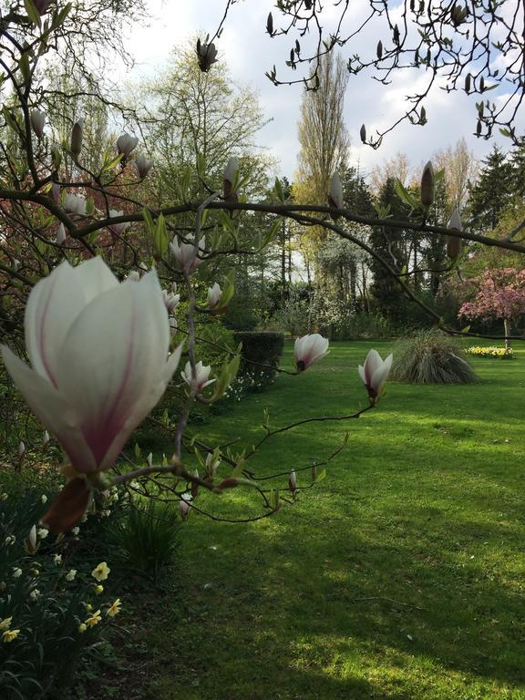 Le Domaine Des Loups Hotel Souchez Екстериор снимка